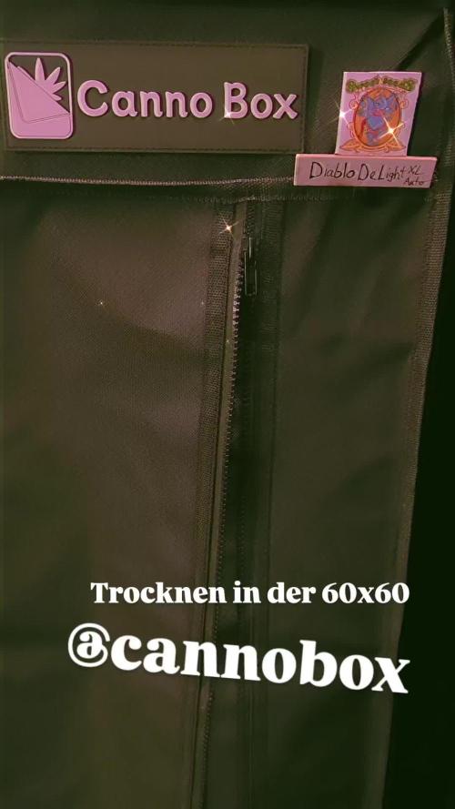 SWEET SEEDS new Strain