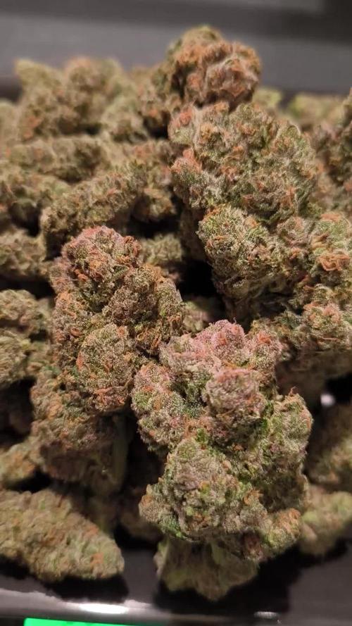 Fast Buds Purle Haze Auto