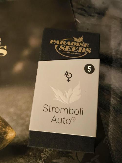 Paradise Seeds. Week 0