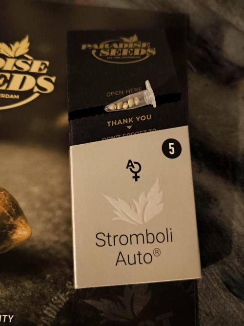 Paradise Seeds. Week 0