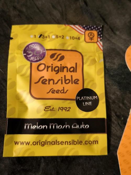 Sensible Part 2. Week 0