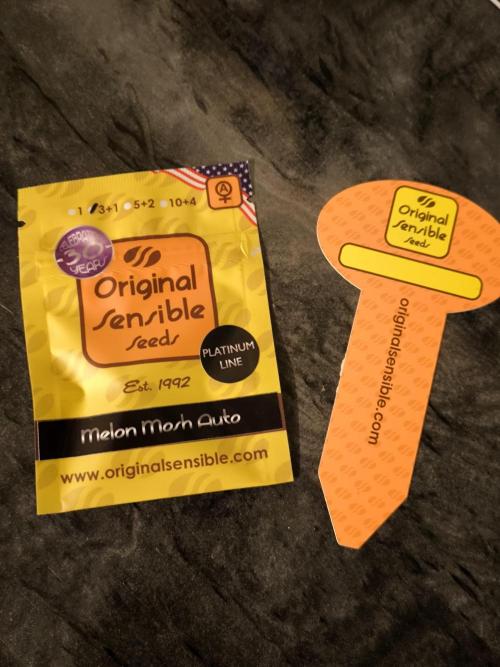 Sensible Part 2. Week 0