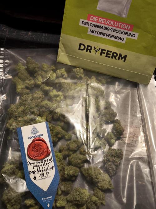 DOGNABISCUP #18 .P. Week 13