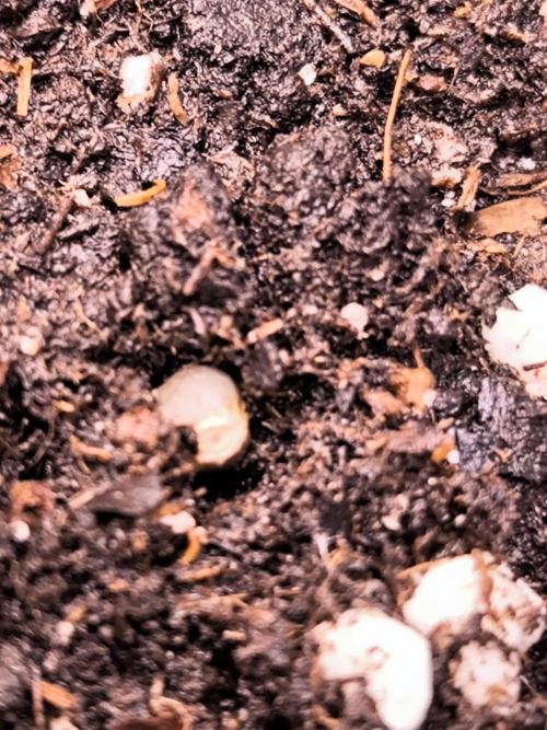 Sensible Part 2. Week 0