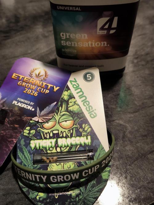 Eternity Grow Cup 2026. Week 0