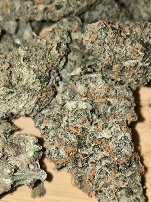 DognabisCup #18 .A. Week 14