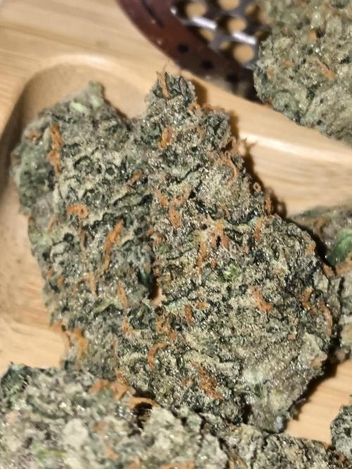 DognabisCup #18 .A. Week 14