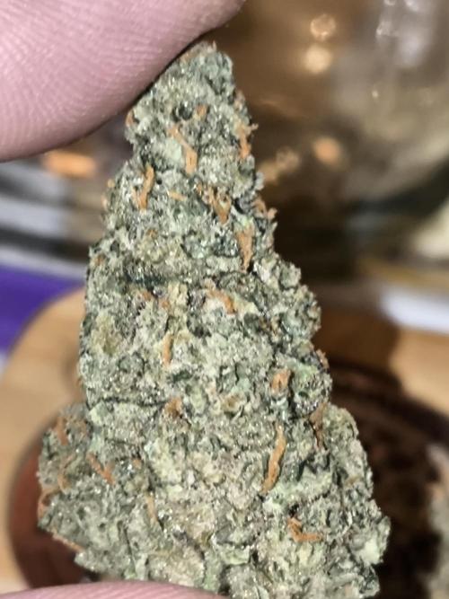 DognabisCup #18 .A. Week 14