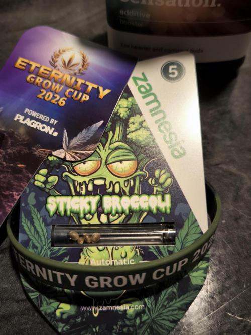 Eternity Grow Cup 2026. Week 0