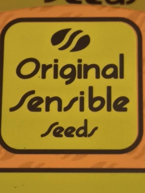 Sensible Grow. Week 0