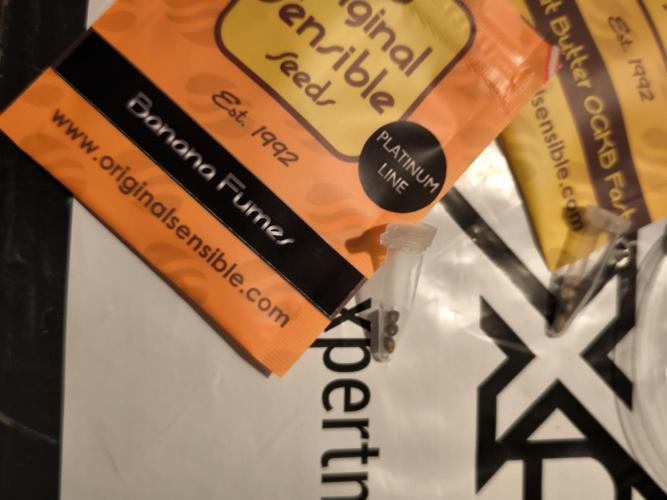 Sensible Grow. Week 0