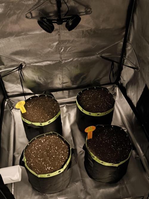 Sensible Grow. Week 0