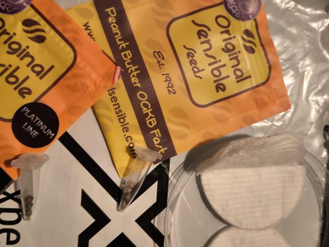 Sensible Grow. Week 0