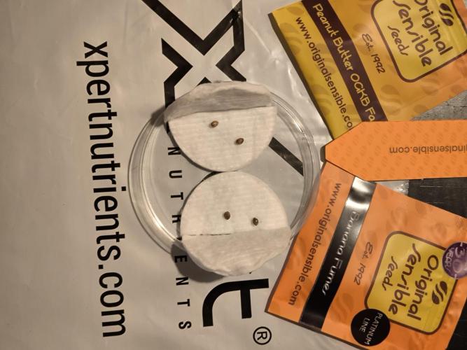 Sensible Grow. Week 0