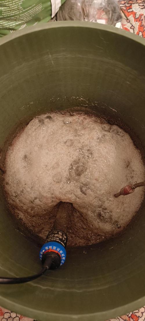 Living Soil rocks!🤘🏼. Week 14