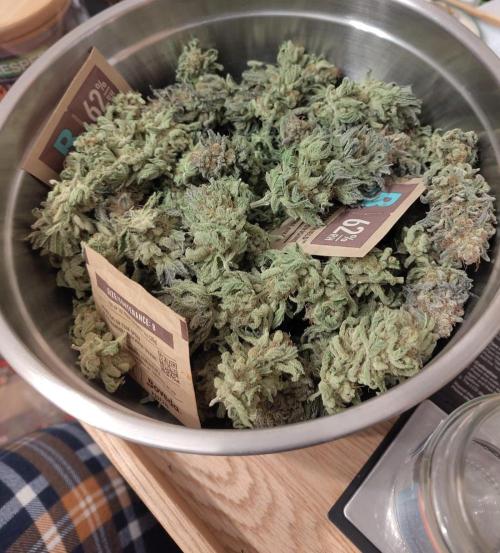 Living Soil rocks!🤘🏼. Week 17