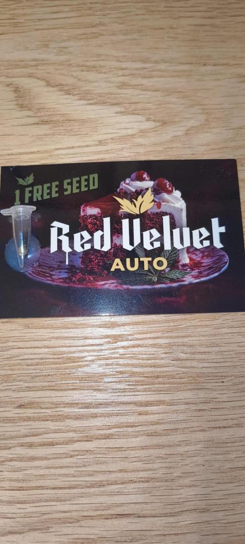 Red Velvet auto🍰 Freebie❣️. Week 0