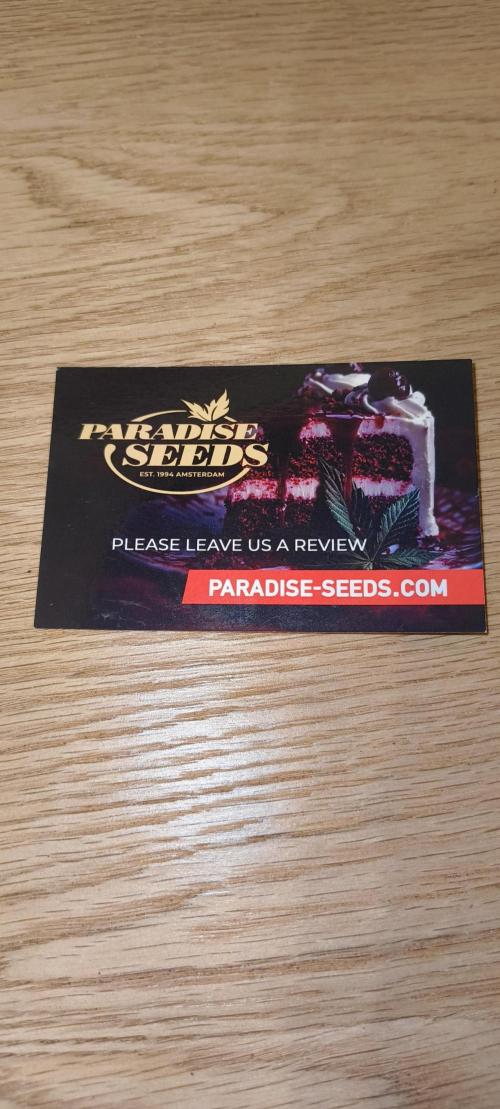 Red Velvet auto.Freebie Friday. Week 0