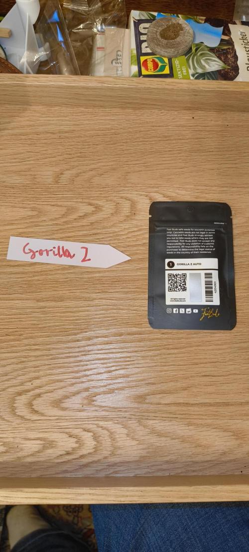 Gorilla Z auto Fast Buds Freebie. Week 0