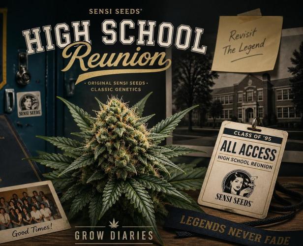 High School Reunion 2.0. Week 0