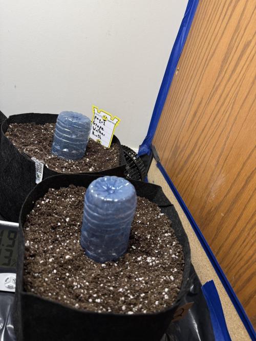 G.W.K. Organic Run. Week 0