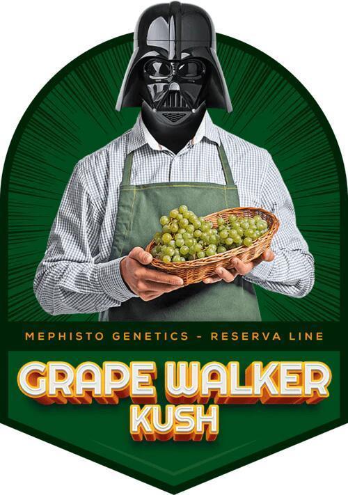 G.W.K. Organic Run. Week 0 - Wanted to add the strain sticker here, I thought this was funny as hell.