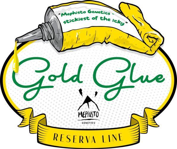 Gold Glue Organic Run. Week 0