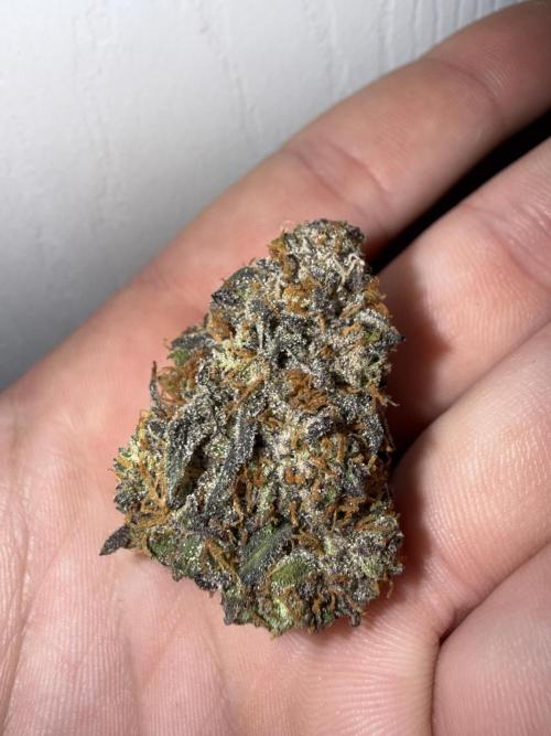 Mango Runts: Organic Mephisto Run. Week 11