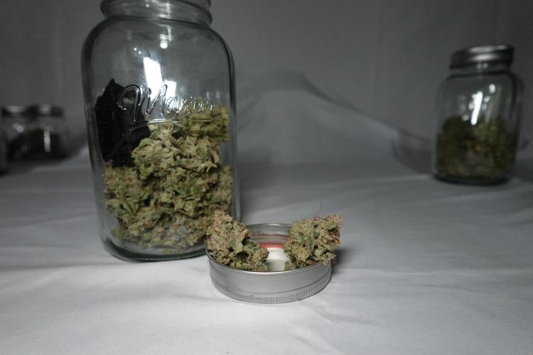 G.W.K. Organic Run. Week 10 - GWK #1