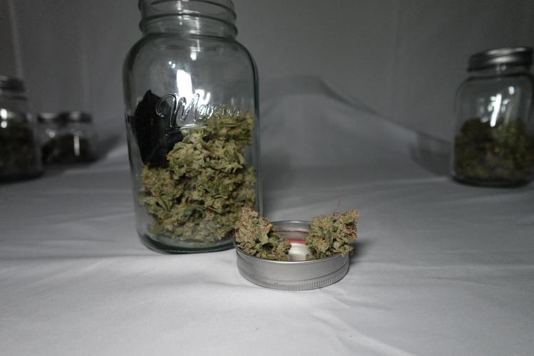 G.W.K. Organic Run. Week 10 - GWK #1