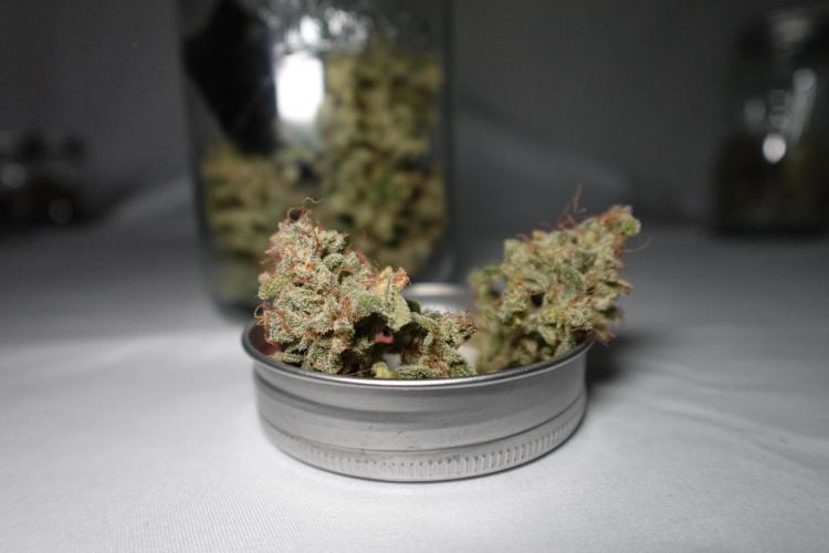 G.W.K. Organic Run. Week 10 - GWK #1