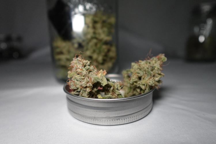 G.W.K. Organic Run. Week 10 - GWK #1