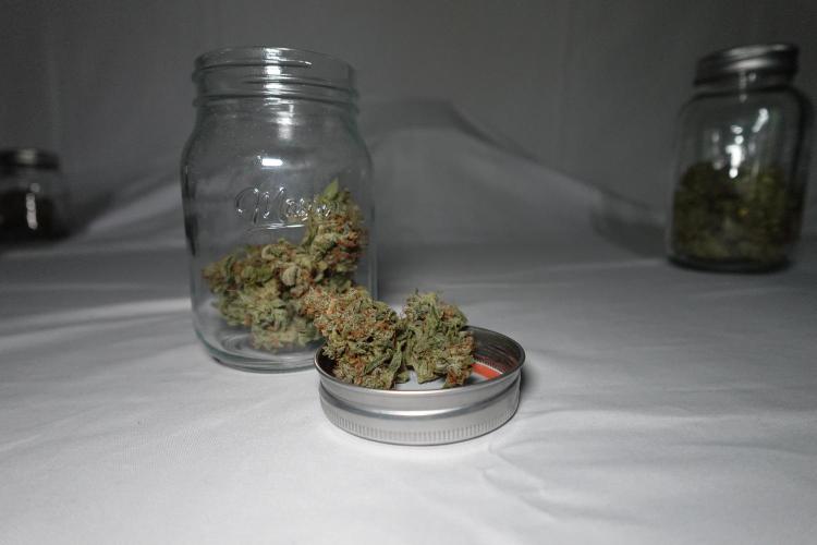 G.W.K. Organic Run. Week 10 - GWK #2