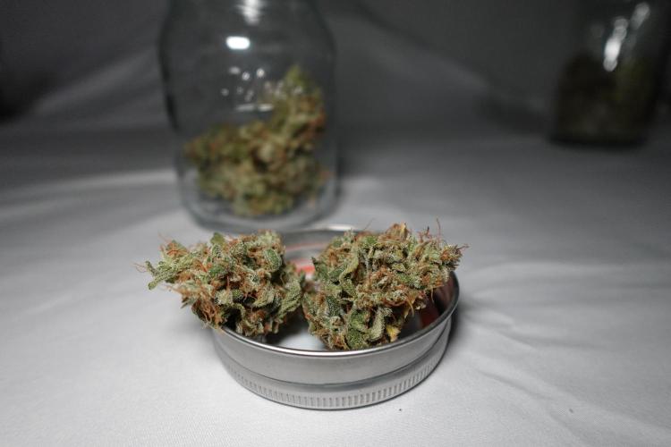 G.W.K. Organic Run. Week 10 - GWK #2