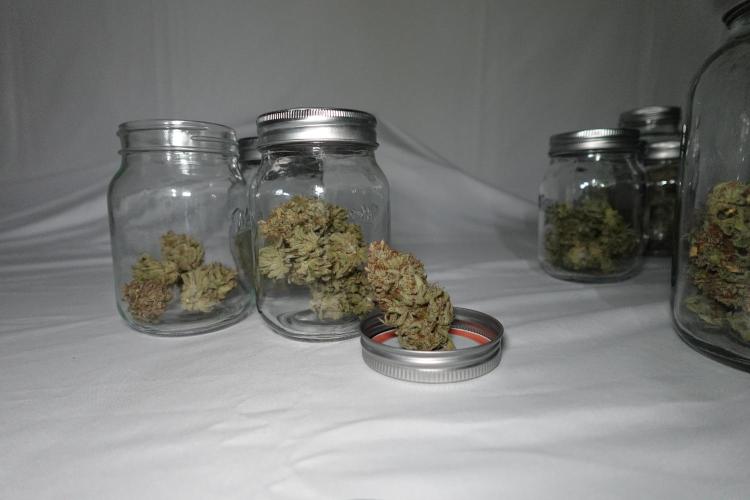 Gold Glue Organic Run. Week 10 - GG #1