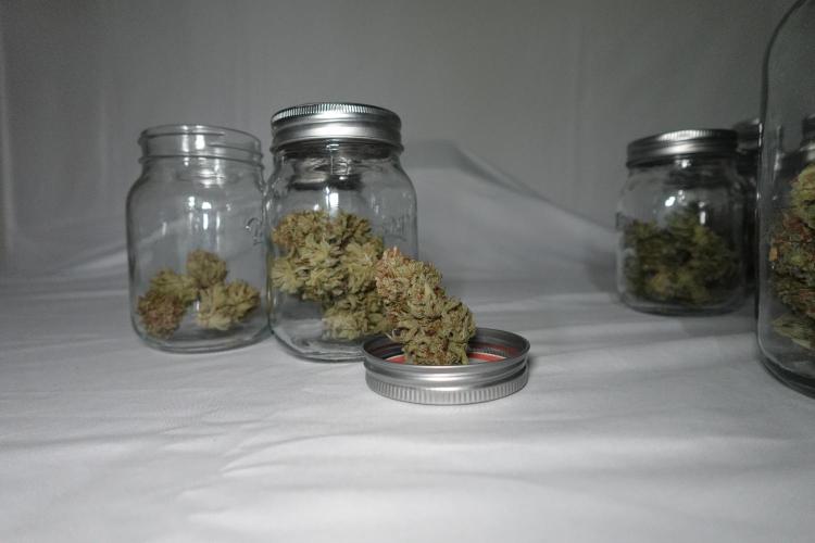 Gold Glue Organic Run. Week 10 - GG #1