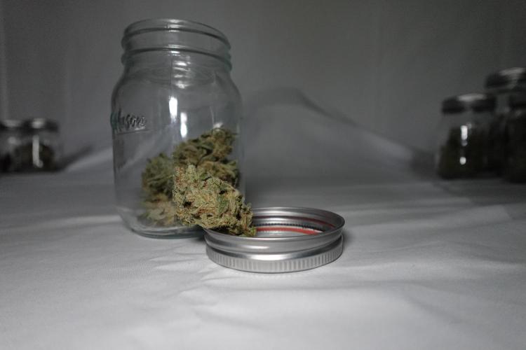 Gold Glue Organic Run. Week 10 - GG #2