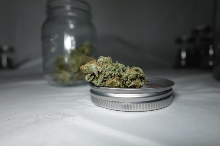 Gold Glue Organic Run. Week 10 - GG #2