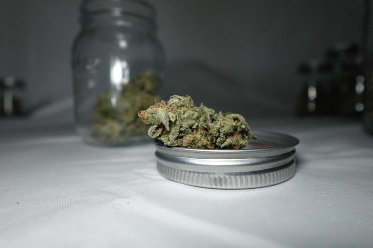 Gold Glue Organic Run. Week 10 - GG #2