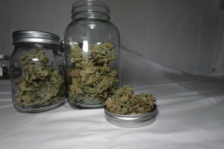 Gold Glue Organic Run. Week 10 - GG #3