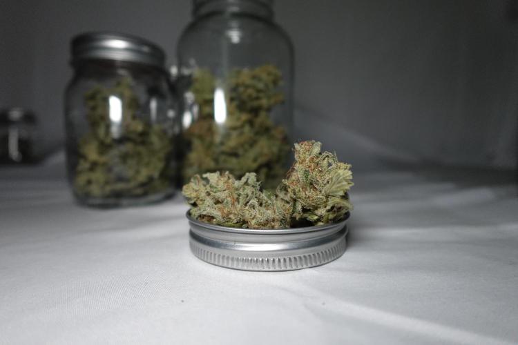 Gold Glue Organic Run. Week 10 - GG #3