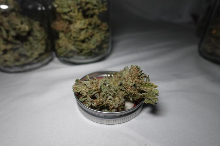 Gold Glue Organic Run. Week 10 - GG #3