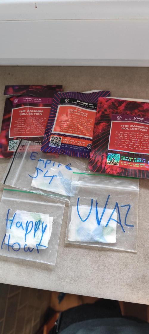 HappyUvaz: The2WizardTrees. Week 0