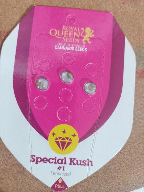 Special Kush #1. Week 0 - Gift from friend.