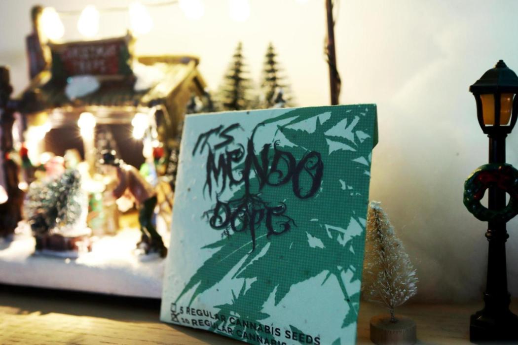 Grow 6.3 | Mendo Dope Farms | Skoochie. Week 0