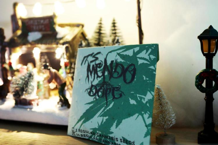 Grow 6.3 | Mendo Dope Farms | Skoochie. Week 0