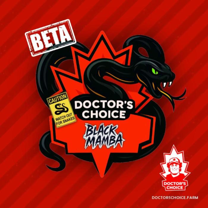 Grow 6.2 | Doctors Choice | Black Mamba. Week 0