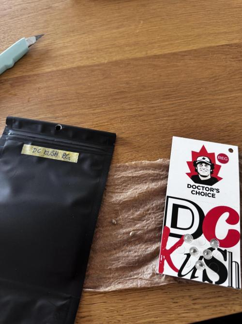 Grow 7.1  | Doctors Choice | DC Kush. Week 0