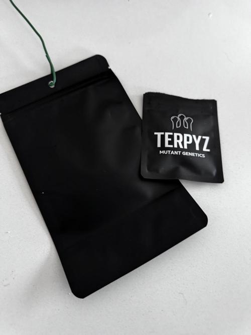 Grow 7.7 | Terpyz | Spicy Temp. RG. Week 0