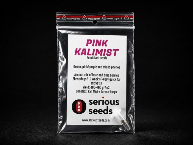 8 |  Serious Seeds | Beta Pink Kalimist. Week 0